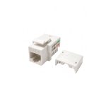 کیستون جک شبکه CC23120005